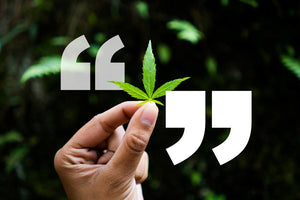 FAMOUS CANNABIS QUOTES